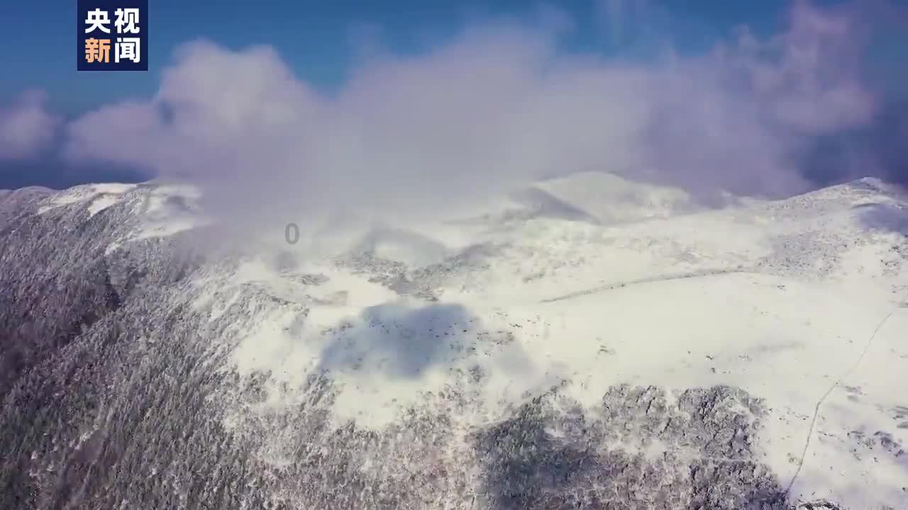 云南曲靖麒麟区：缤纷年货传递浓浓年味儿